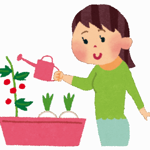　今年の家庭菜園は苗がない