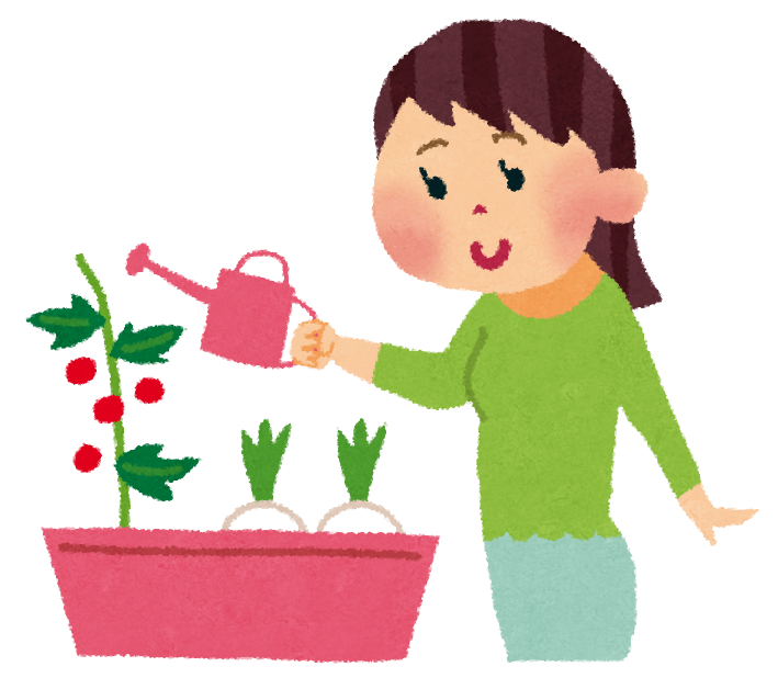 　今年の家庭菜園は苗がない